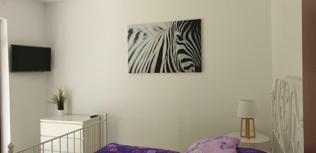 Apartamenty Wisełka Zewnętrze zdjęcie